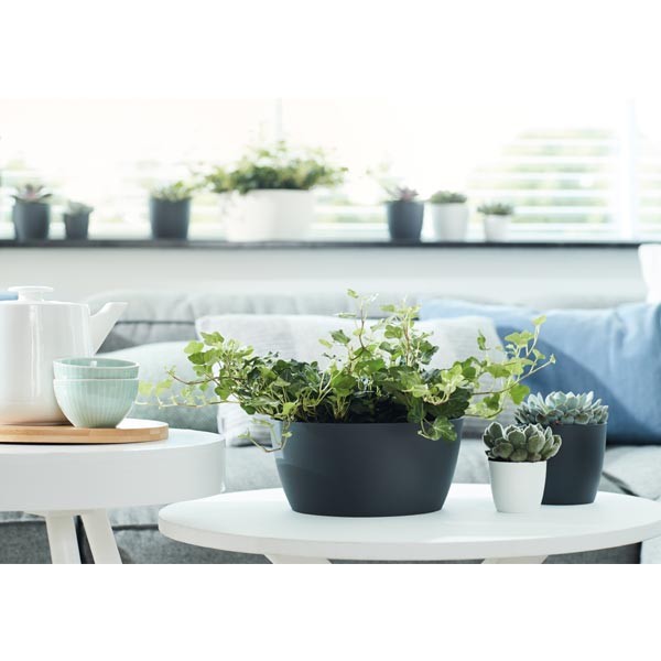Elho Brussels Bowl Anthracite 23cm Flower Pot 4 Elho Brussels Bowl Anthracite 23cm Flower Pot - Image 4