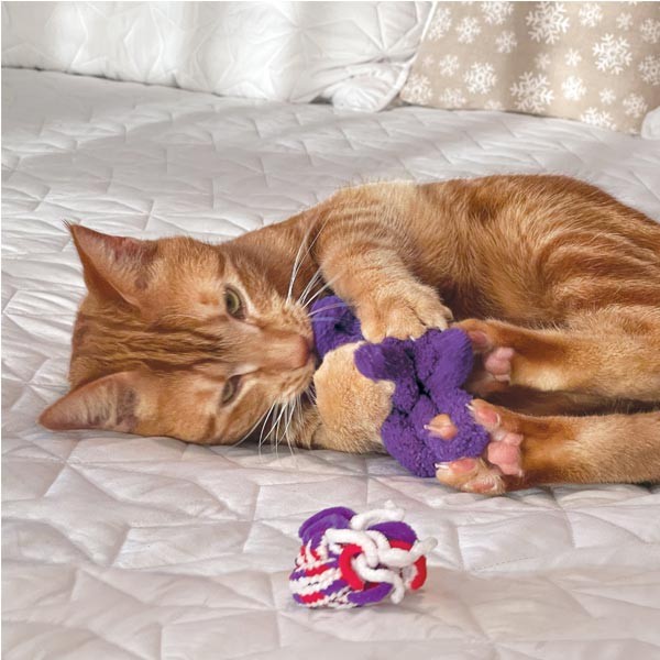 KONG Active Rope 2 Pack Cat Toy 3 KONG Active Rope 2 Pack Cat Toy - Image 3