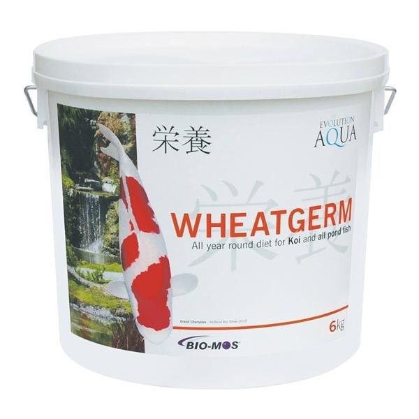 Evolution Aqua Wheatgerm Koi & Pond Fish Food 5-6mm 6kg 1 Evolution Aqua Wheatgerm Koi & Pond Fish Food 5-6mm 6kg