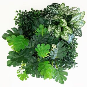 Betta Terra Monstera Plant Garden Mat 25x25cm