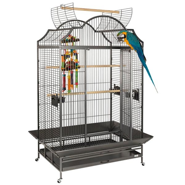 Liberta Cages Enterprise Open Play Top Parrot Cage 1 Liberta Cages Enterprise Open Play Top Parrot Cage