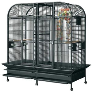 Rainforest Cages Santos Play Gym Top Stone Parrot Cage