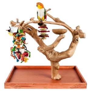Java Mini Medium Tabletop Tree Natural Hardwood Parrot Stand