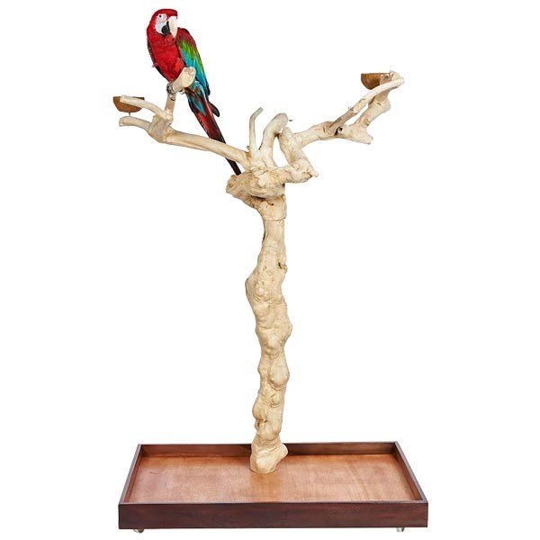 Java 2 Duo Tree Large Natural Hardwood Parrot Playstand 1 Java 2 Duo Tree Large Natural Hardwood Parrot Playstand