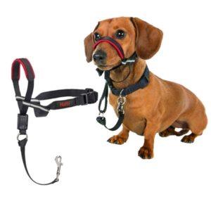 Company of Animals Halti Optifit Headcollar Small