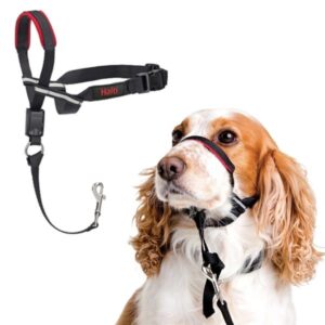 Company of Animals Halti Optifit Headcollar Medium