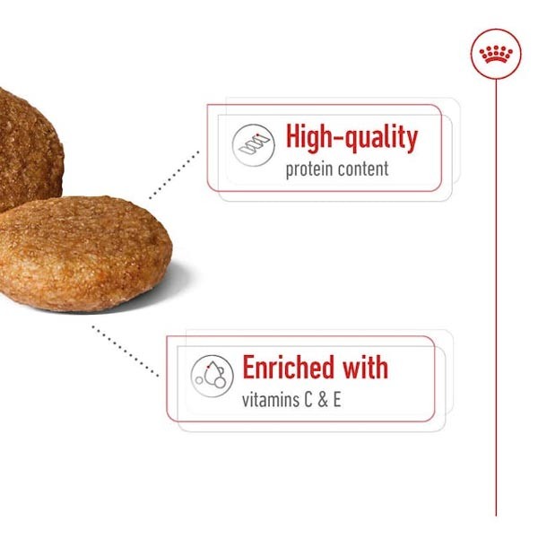 Royal Canin Medium Adult 3kg 3 Royal Canin Medium Adult 3kg - Image 3