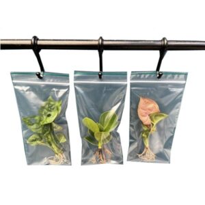 Hydroponic Plants Small Single Assorted