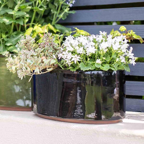 Cambridge Trough Glazed Planter Black 35cm 2 Cambridge Trough Glazed Planter Black 35cm - Image 2