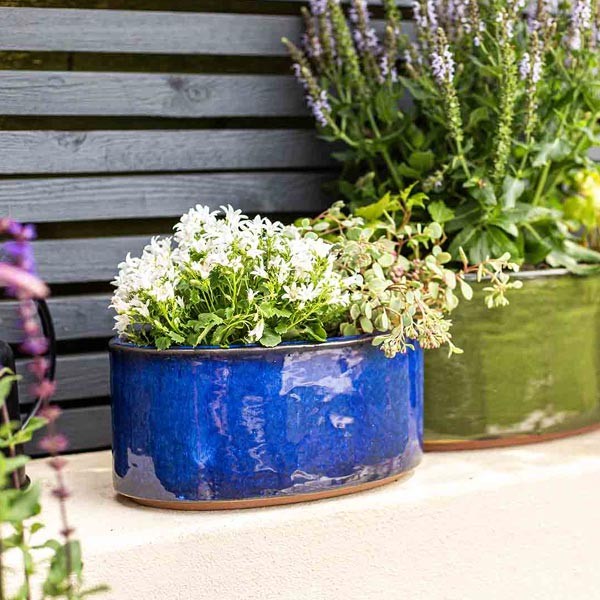 Cambridge Trough Glazed Planter Blue 27cm 2 Cambridge Trough Glazed Planter Blue 27cm - Image 2