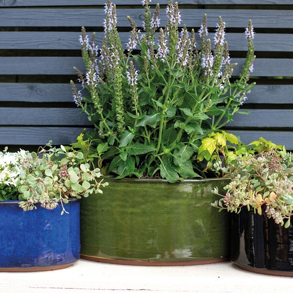 Cambridge Trough Glazed Planter Green 46cm 2 Cambridge Trough Glazed Planter Green 46cm - Image 2
