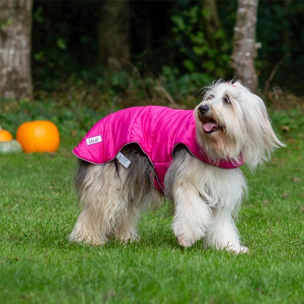 Viva Reversible Coat Pink/Purple 40cm Medium 2 Viva Reversible Coat Pink/Purple 40cm Medium - Image 2