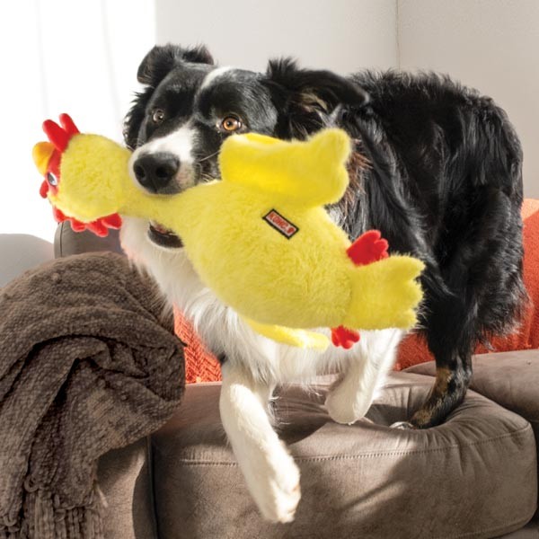 KONG Scruffs Chicken Medium/Large 3 KONG Scruffs Chicken Medium/Large - Image 3