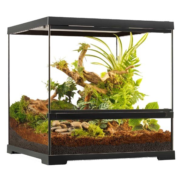 Exo Terra Pro Terrarium 45 x 45 x 45cm Small Wide 1 Exo Terra Pro Terrarium 45 x 45 x 45cm Small Wide