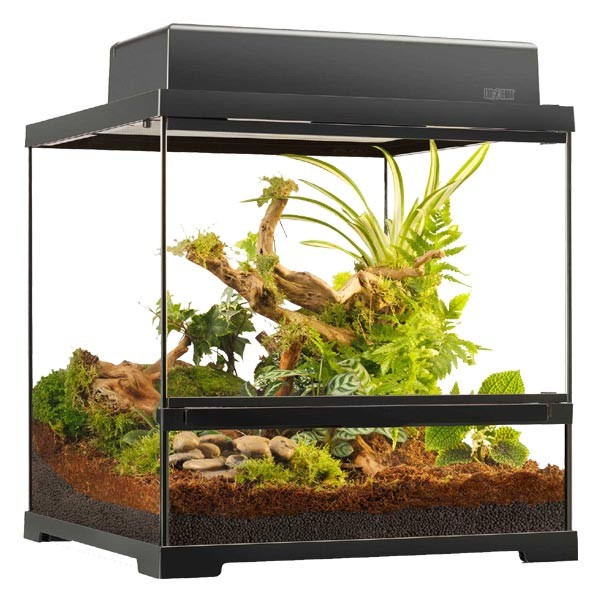 Exo Terra Pro Terrarium 45 x 45 x 45cm Small Wide 2 Exo Terra Pro Terrarium 45 x 45 x 45cm Small Wide - Image 2