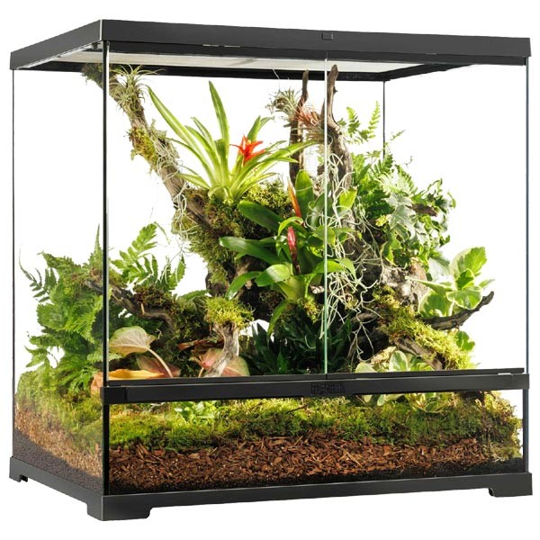 Exo Terra Pro Terrarium 60 x 45 x 60cm Medium Tall 1 Exo Terra Pro Terrarium 60 x 45 x 60cm Medium Tall