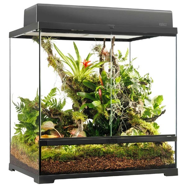 Exo Terra Pro Terrarium 60 x 45 x 60cm Medium Tall 2 Exo Terra Pro Terrarium 60 x 45 x 60cm Medium Tall - Image 2