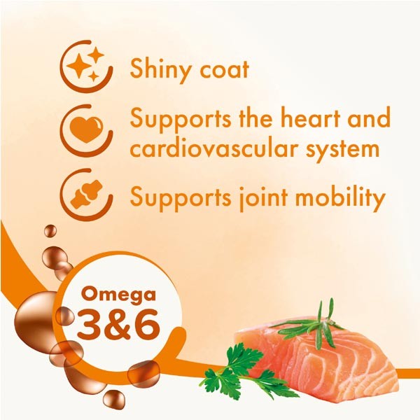 Beaphar Salmon Oil (430ml) 3 Beaphar Salmon Oil (430ml) - Image 3