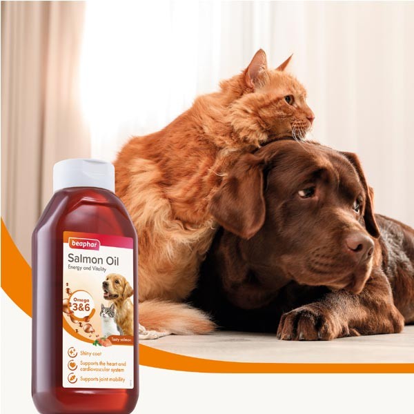 Beaphar Salmon Oil (430ml) 4 Beaphar Salmon Oil (430ml) - Image 4