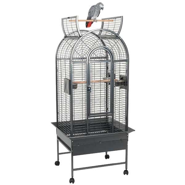 Rainforest Cages Ecuador Cage Antique 1508 1 Rainforest Cages Ecuador Cage Antique 1508