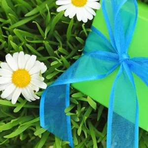 Gift