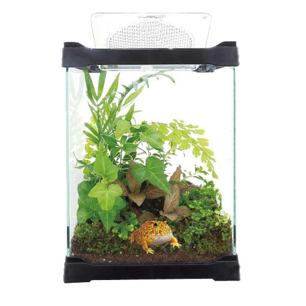 Betta Terra Black Mini Terrarium 16 x 16 x 21cm 2 Betta Terra Black Mini Terrarium 16 x 16 x 21cm - Image 2