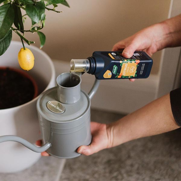Westland Citrus Feed 200ml 2 Westland Citrus Feed 200ml - Image 2