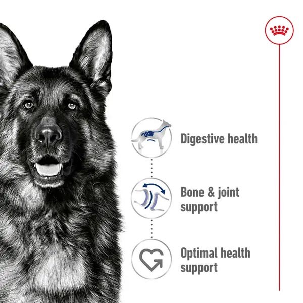 Royal Canin Maxi Adult 3kg 2 Royal Canin Maxi Adult 3kg - Image 2