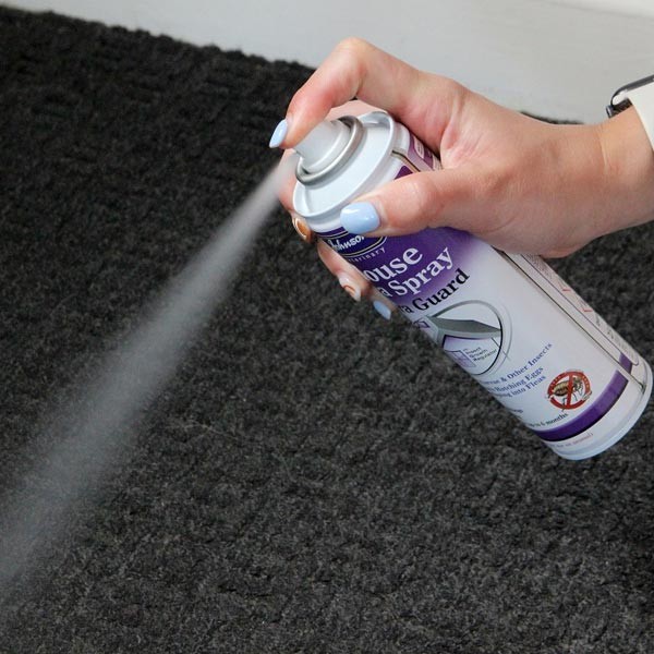 House Flea Spray Extra Guard 250ml 2 House Flea Spray Extra Guard 250ml - Image 2
