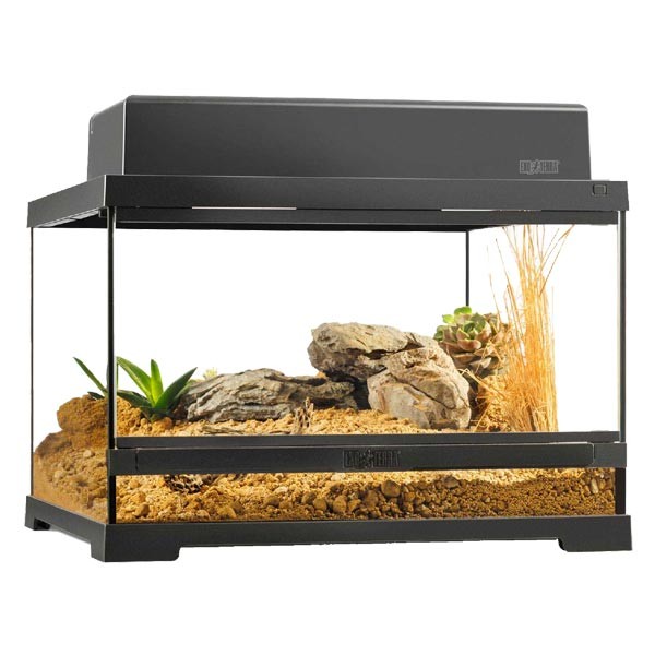 Exo Terra Pro Terrarium 45 x 45 x 30cm Small Low 2 Exo Terra Pro Terrarium 45 x 45 x 30cm Small Low - Image 2