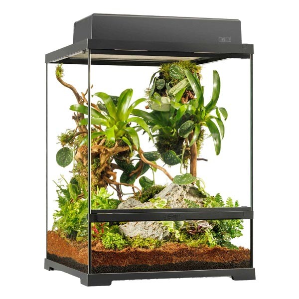 Exo Terra Pro Terrarium 45 x 45 x 60cm Small Tall 2 Exo Terra Pro Terrarium 45 x 45 x 60cm Small Tall - Image 2
