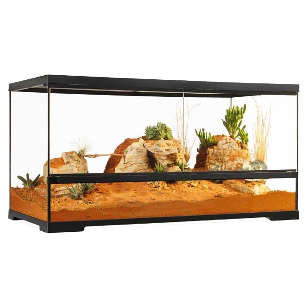 Exo Terra Pro Terrarium 90 x 45 x 45cm Large Wide 1 Exo Terra Pro Terrarium 90 x 45 x 45cm Large Wide