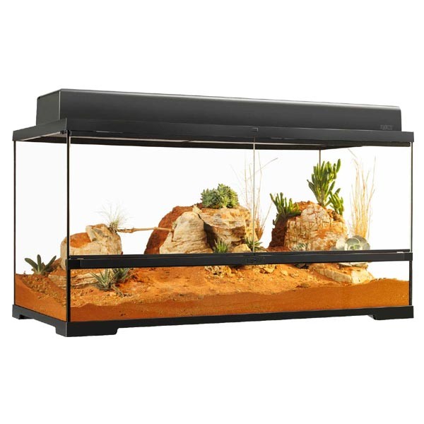 Exo Terra Pro Terrarium 90 x 45 x 45cm Large Wide 2 Exo Terra Pro Terrarium 90 x 45 x 45cm Large Wide - Image 2
