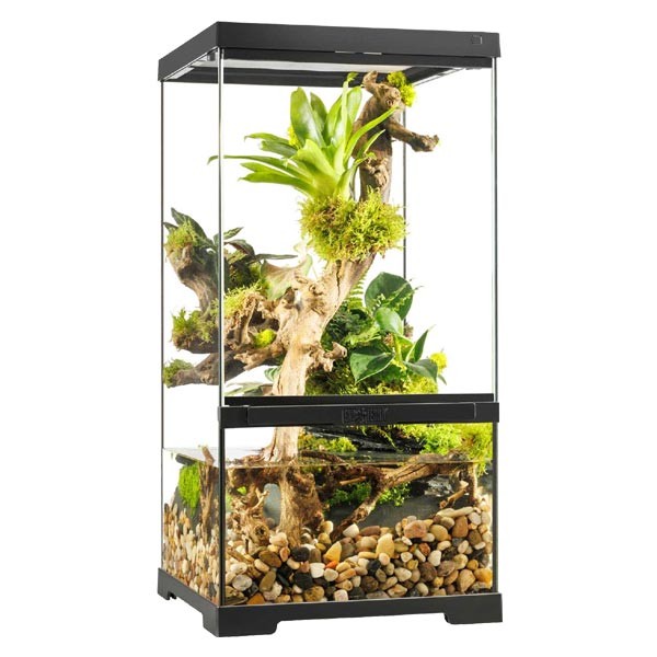 Exo Terra Pro Paludarium 30 x 30 x 60cm X-Small X-Tall 1 Exo Terra Pro Paludarium 30 x 30 x 60cm X-Small X-Tall