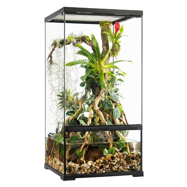 Exo Terra Pro Paludarium 45 x 45 x 90cm Small X-Tall 1 Exo Terra Pro Paludarium 45 x 45 x 90cm Small X-Tall