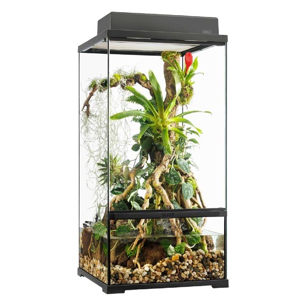 Exo Terra Pro Paludarium 45 x 45 x 90cm Small X-Tall 2 Exo Terra Pro Paludarium 45 x 45 x 90cm Small X-Tall - Image 2