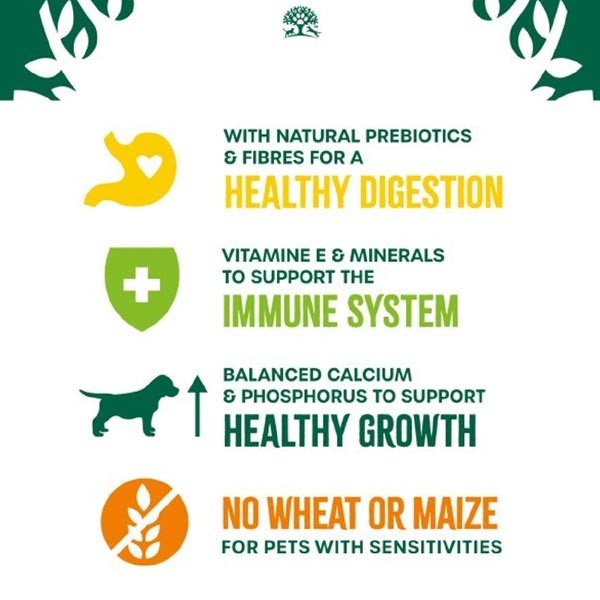 James Wellbeloved Dog Pup/Jnr Lamb & Rice 15kg 3 James Wellbeloved Dog Pup/Jnr Lamb & Rice 15kg - Image 3