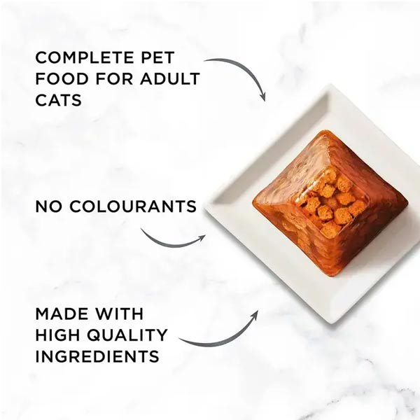 Gourmet Revelations Salmon Gelee 4 x 57g 2 Gourmet Revelations Salmon Gelee 4 x 57g - Image 2