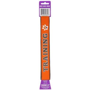 "Training" Leash Wrap