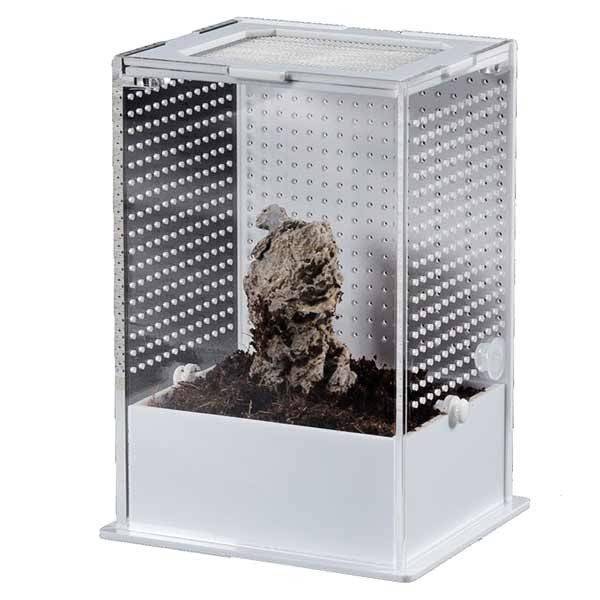 Repti Zoo White Base Insect Acrylic Box 10 x 8.5 x 15cm 2 Repti Zoo White Base Insect Acrylic Box 10 x 8.5 x 15cm - Image 2