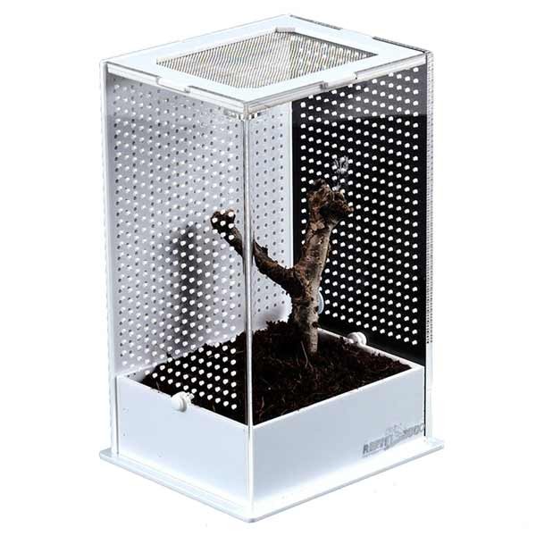 Repti Zoo White Base Insect Acrylic Box 12 x 10 x 20cm 2 Repti Zoo White Base Insect Acrylic Box 12 x 10 x 20cm - Image 2