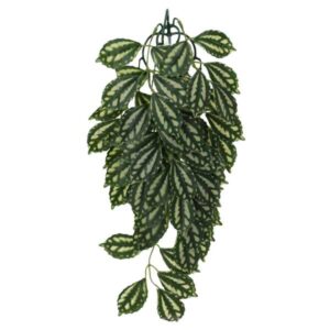 ProRep Silk Hanging Plant Watermelon Peperomia 45cm