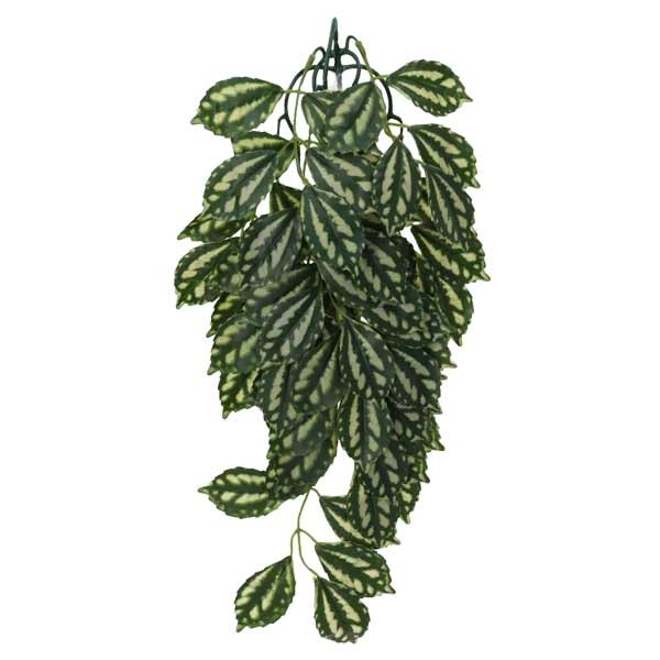 ProRep Silk Hanging Plant Watermelon Peperomia 45cm 1 ProRep Silk Hanging Plant Watermelon Peperomia 45cm