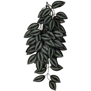 ProRep Silk Hanging Plant Wandering Dude 45cm