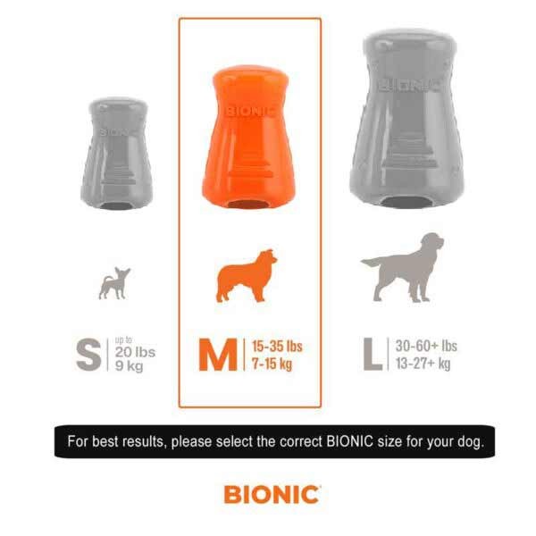 BIONIC Treat Shaker Medium 2 BIONIC Treat Shaker Medium - Image 2