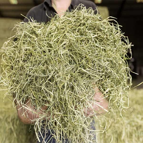 Newhay Timothy Feeding Hay Carrot & Apple 1kg 2 Newhay Timothy Feeding Hay Carrot & Apple 1kg - Image 2