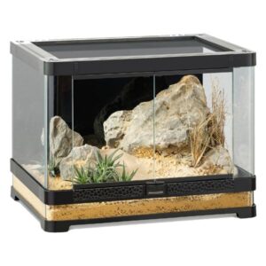 Exo Terra Vista 60 Panoramic Terrarium