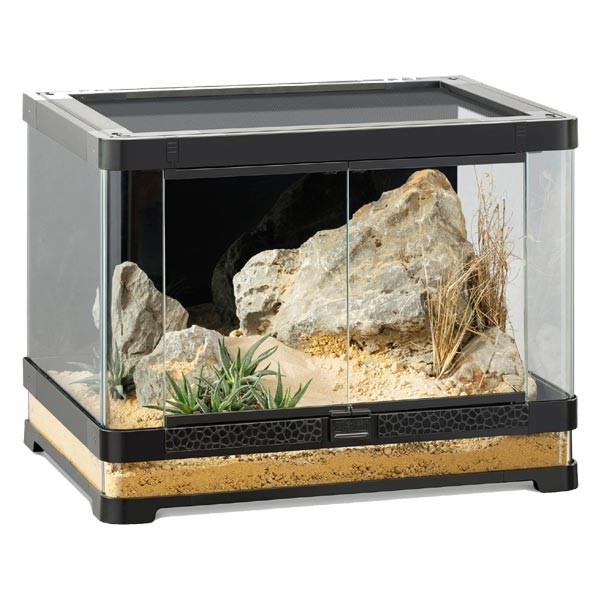 Exo Terra Vista 60 Panoramic Terrarium 1 Exo Terra Vista 60 Panoramic Terrarium