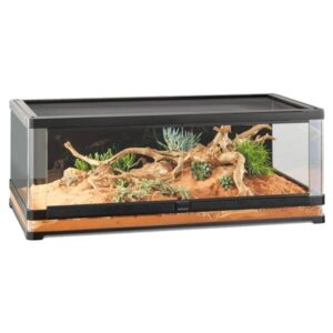 Exo Terra Vista 120 Panoramic Terrarium