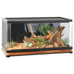 Exo Terra Vista 120XL Panoramic Terrarium
